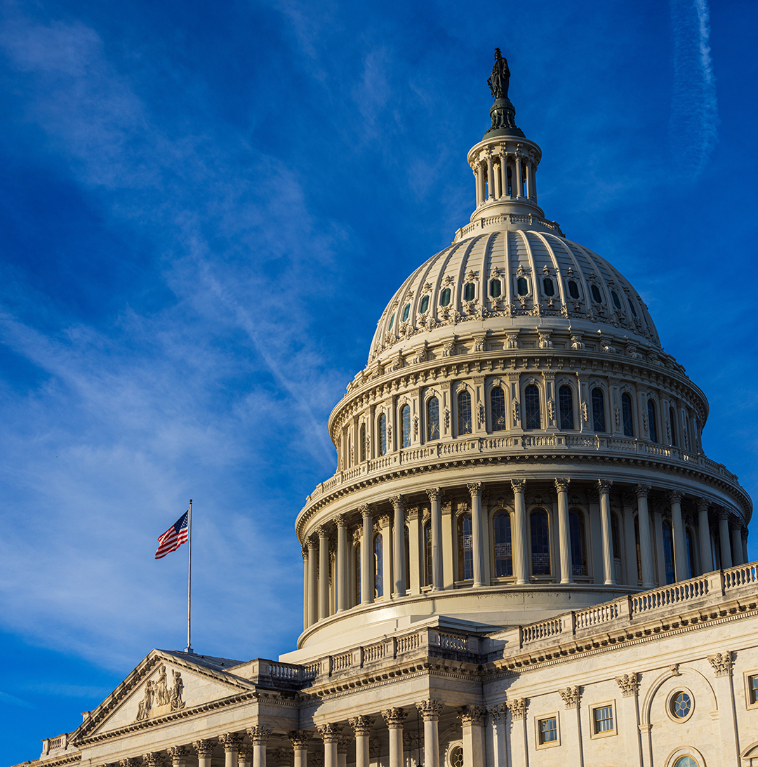 government government